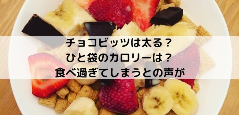 チョコビッツは太る ひと袋のカロリーは 食べ過ぎてしまうとの声