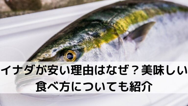 イナダが安い理由はなぜ 美味しい食べ方についても紹介